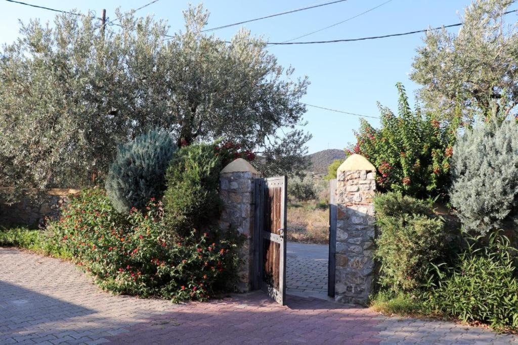 Vassia Home's * Thermisia