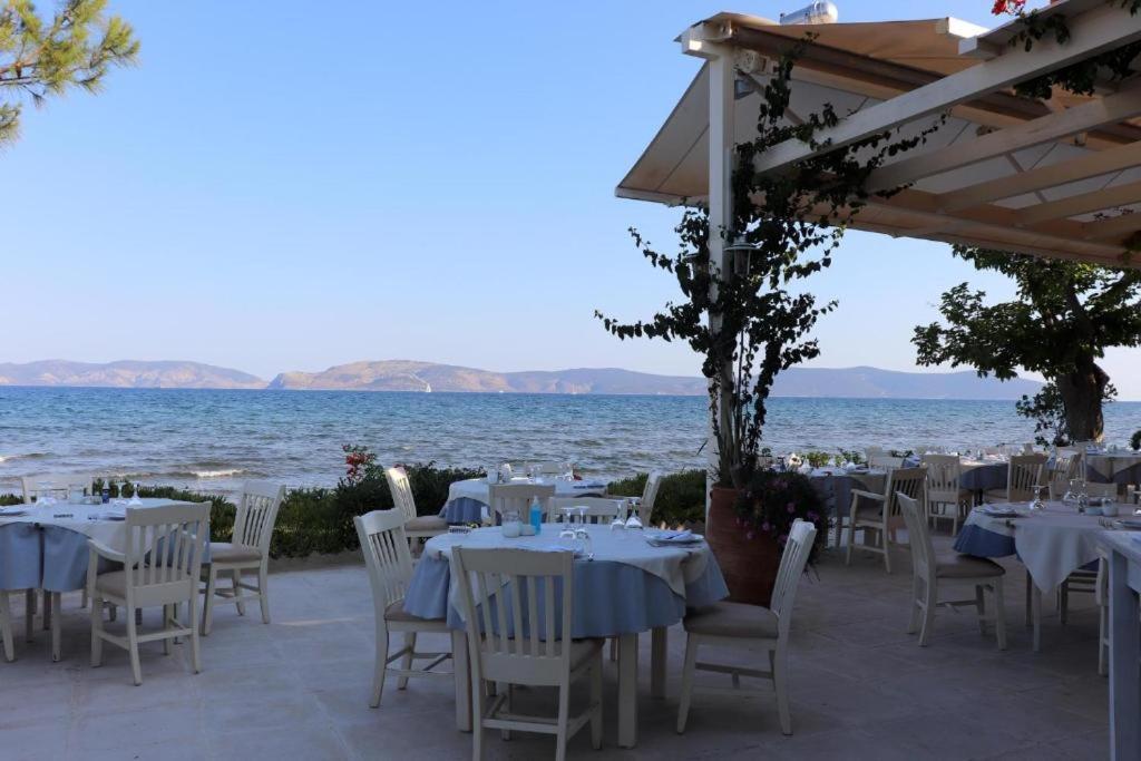Vassia Home's Holiday home *