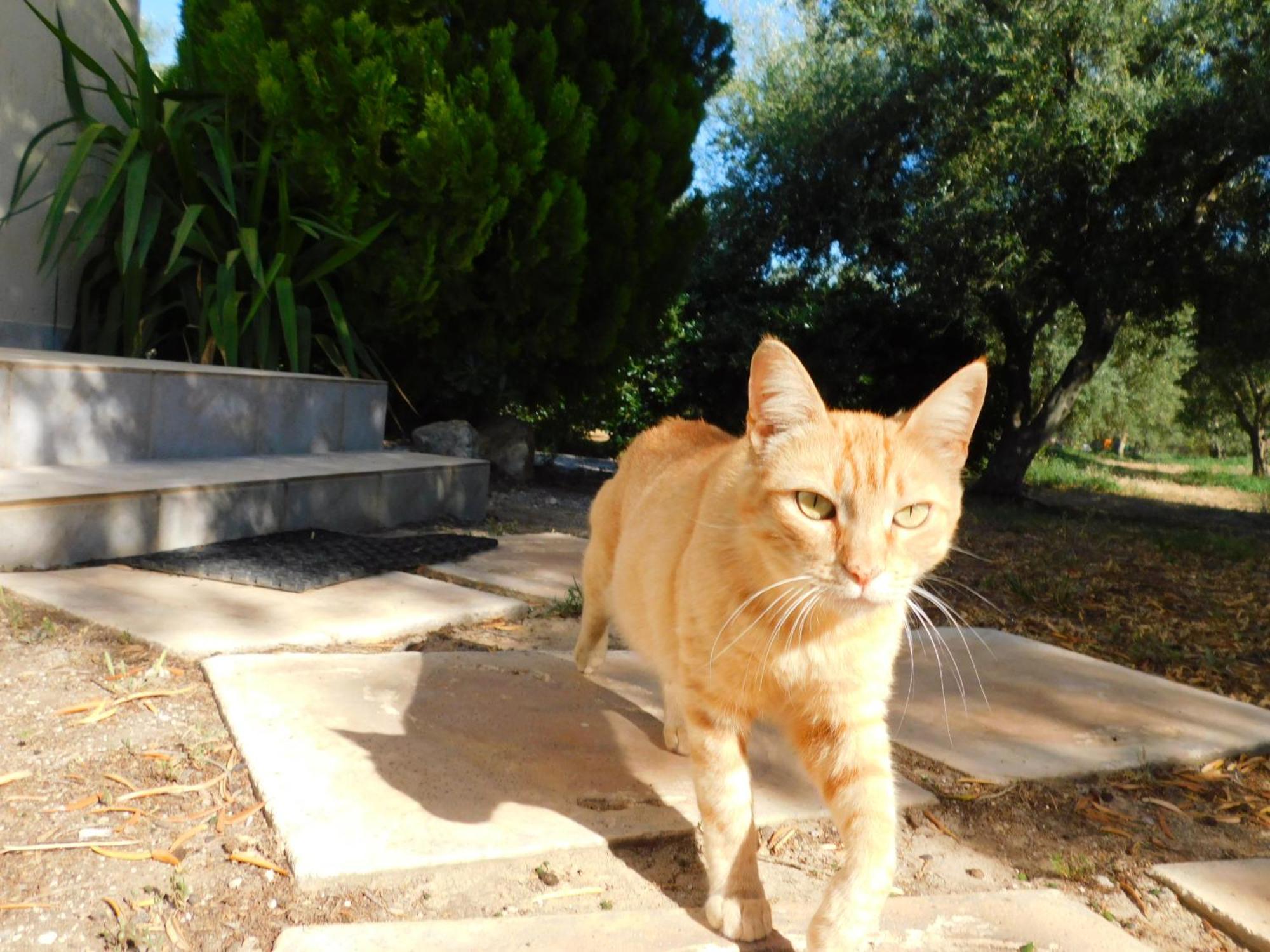 Vassia Home's Holiday home